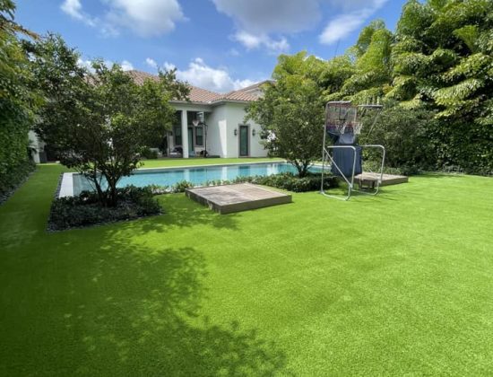 affordable-delray-beach-turf-cleaning